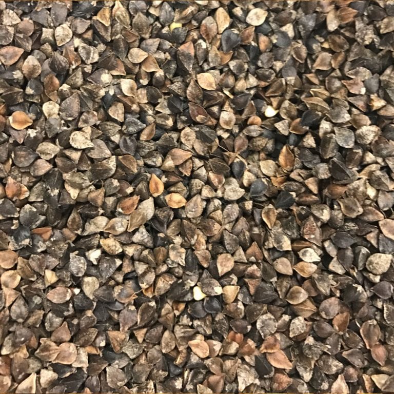 Buckwheat (50 lbs) Tyrone Milling Inc.