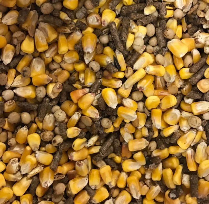 Original Deer Feed Tyrone Milling Inc.