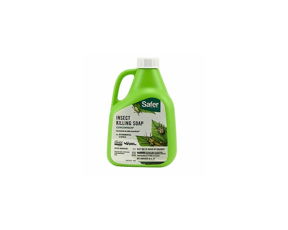 Safer Insect Soap Concentrate (16 oz) – Tyrone Milling Inc.